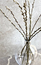 Load image into Gallery viewer, Natural Dried Pussy Willow Bunch Salix Caprea Branches Spring Catkin Twigs Easter Decor Vase Arrangement