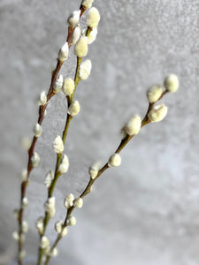 Natural Dried Pussy Willow Bunch Salix Caprea Branches Spring Catkin Twigs Easter Decor Vase Arrangement