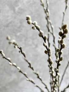 Natural Dried Pussy Willow Bunch Salix Caprea Branches Spring Catkin Twigs Easter Decor Vase Arrangement