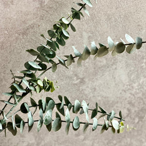 Artificial Dusky Green Eucalyptus Stem Faux Everlasting Foliage Length 88cm