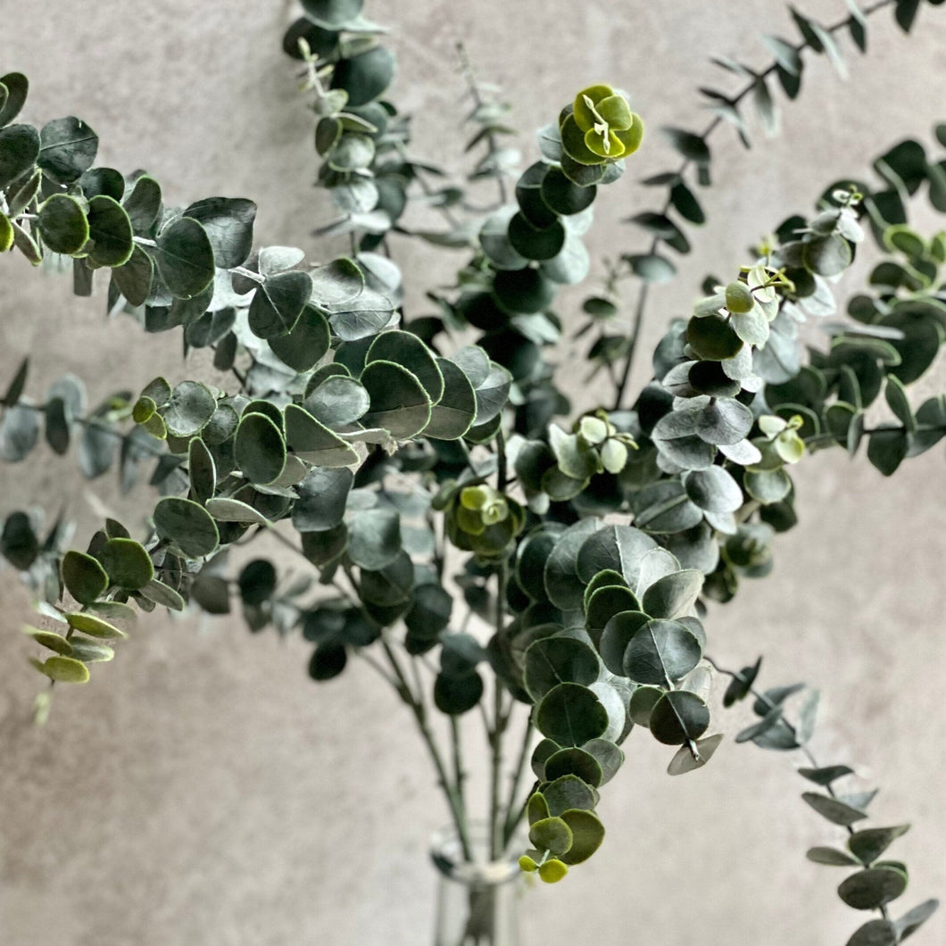 Artificial Dusky Green Eucalyptus Stem Faux Everlasting Foliage Length 88cm