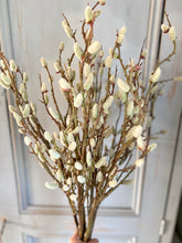Load image into Gallery viewer, Faux Pussy Willow Branch With Catkins Length 84cm