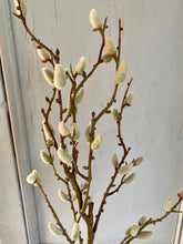 Load image into Gallery viewer, Faux Pussy Willow Branch With Catkins Length 84cm