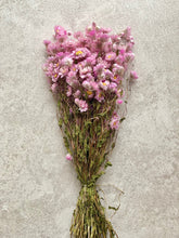 Load image into Gallery viewer, Dried Pink Everlasting Daisies Natural Rhodanthe Flowers Small Pink Daisy Flower With Yellow Centres Small Bunch Approx 40cm Length