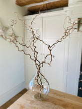 Load image into Gallery viewer, Contorted Hazel Corylus Branches Curly Twigs For Vase Corkscrew Natural Twisted Stems Minimalist Japandi Decor Wabi Sabi 90-100cm Long
