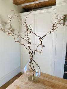 Contorted Hazel Corylus Branches Curly Twigs For Vase Corkscrew Natural Twisted Stems Minimalist Japandi Decor Wabi Sabi 90-100cm Long