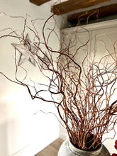 Load image into Gallery viewer, Twisted Willow Branches Tall Curly Twigs For Vase Natural Dried Stems For Minimalist Spring Decor Wabi Sabi Style
