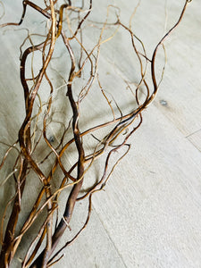 Twisted Willow Branches Tall Curly Twigs For Vase Natural Dried Stems For Minimalist Spring Decor Wabi Sabi Style