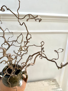 Contorted Hazel Corylus Branch Curly Twigs For Tabletop Vase Corkscrew Natural Twisted Stems Branches Wabi Sabi Spring Decor Japandi Style