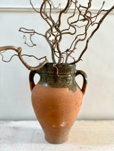 Load image into Gallery viewer, Contorted Hazel Corylus Branch Curly Twigs For Tabletop Vase Corkscrew Natural Twisted Stems Branches Wabi Sabi Spring Decor Japandi Style