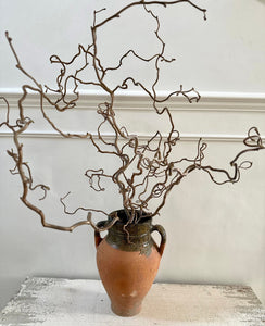 Contorted Hazel Corylus Branch Curly Twigs For Tabletop Vase Corkscrew Natural Twisted Stems Branches Wabi Sabi Spring Decor Japandi Style