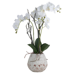 Artificial Orchid In Stone Pot White Phalaenopsis Orchid In Rustic Aged Vase