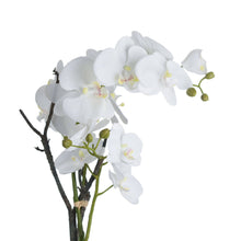 Load image into Gallery viewer, Artificial Orchid In Stone Pot White Phalaenopsis Orchid In Rustic Aged Vase