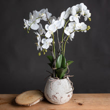 Load image into Gallery viewer, Artificial Orchid In Stone Pot White Phalaenopsis Orchid In Rustic Aged Vase
