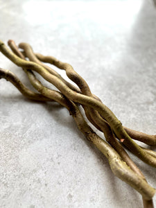 Hazel Corylus Branches Curly Crooked Twigs Bundle Of Natural Twisted Sticks For Crafting Macrame Wall Hanging Floral Craft Supplies Woodwork