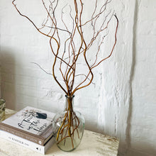 Load image into Gallery viewer, Twisted Willow Branches In Glass Vase With Twigs Dried Flowers Bottle Vase Small Clear Recycled Glass Vase Wedding Centrepiece Table Vase