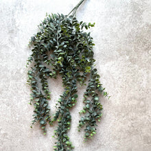 Load image into Gallery viewer, Artificial Trailing Eucalyptus Plant Faux Hanging Green Everlasting Stem Length 75cm