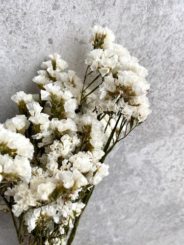 Dried White Statice Bunch Natural Limonium Flowers White Everlasting Flowers Small Bunch Approx 60cm Length BRITISH GROWN