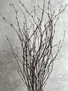 Natural Dried Birch Twigs Bunch | 10 Stem Bunch | Length approx 60cm