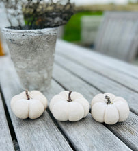 Load image into Gallery viewer, White Velvet Faux Pumpkins Set Of 3 Fabric Mini Pumpkin Fall Seasonal Decoration Halloween Decorations Autumn Table Decor Styling
