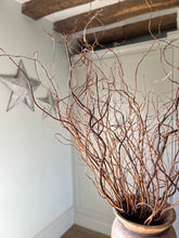 Load image into Gallery viewer, Twisted Willow Branches Tall Curly Twigs For Vase Natural Dried Stems For Minimalist Spring Decor Wabi Sabi Style