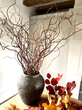 Load image into Gallery viewer, Twisted Willow Branches Tall Curly Twigs For Vase Natural Dried Stems For Minimalist Spring Decor Wabi Sabi Style