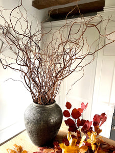 Twisted Willow Branches Tall Curly Twigs For Vase Natural Dried Stems For Minimalist Spring Decor Wabi Sabi Style