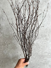 Load image into Gallery viewer, Natural Dried Birch Twigs Bunch | 10 Stem Bunch | Length approx 60cm