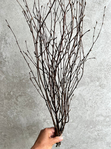Natural Dried Birch Twigs Bunch | 10 Stem Bunch | Length approx 60cm