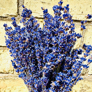 Dried Lavender Bunch French Provence Lavender Dried Flower Bouquet Lavender Wedding Posy Bridesmaid Bouquet Length Approx 30cm