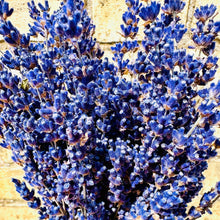 Load image into Gallery viewer, Dried Lavender Bunch French Provence Lavender Dried Flower Bouquet Lavender Wedding Posy Bridesmaid Bouquet Length Approx 30cm