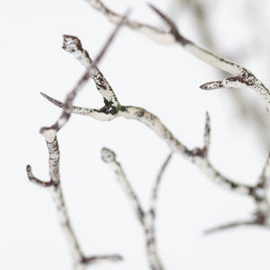 Faux Hawthorn Winter Branch White Washed Artificial Twig For Vase Floral Arrangement Christmas Branches Seasonal Stems