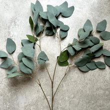 Load image into Gallery viewer, Faux Eucalyptus Branch Artificial Green Foliage Tall Branched Eucalyptus Stem Approx 95cm