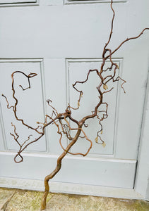 XL Contorted Hazel Corylus Tree Branches Curly Twigs Corkscrew Multi Branched Twisted Stems Minimalist Japandi Decor Wabi Sabi Spring Twigs