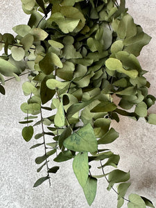 Real Preserved Eucalyptus Cinerea Bunch Everlasting Greenery Dried Foliage Leaves Moss Green Colour Length approx 70cm