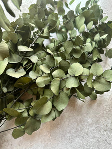 Real Preserved Eucalyptus Stuartiana Bunch | Everlasting Green | Dried Foliage Leaves | Length approx 70cm