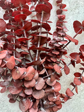 Load image into Gallery viewer, Real Preserved Baby Blue Eucalyptus Bunch Dried Red Everlasting Foliage Leaves Approx 55-65cm Length