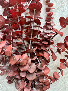 Real Preserved Baby Blue Eucalyptus Bunch Dried Red Everlasting Foliage Leaves Approx 55-65cm Length