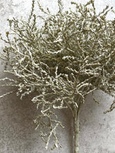 Load image into Gallery viewer, Faux Grey Santolina Bush Artificial Plant Sage Green Faux Plant For Indoor Planter Arrangement