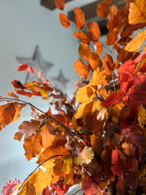 Load image into Gallery viewer, Real Preserved Copper Beech Bunch | Autumn Shades | Dried Autumnal Foliage Leaves | Length approx 70cm