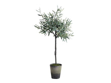 Load image into Gallery viewer, Faux Olive Tree In Rustic Grey Ceramic Pot | Artificial Indoor Plant | Available in 3 Sizes | Realistic Olive Branches