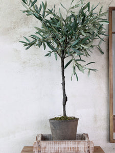 Faux Olive Tree In Rustic Grey Ceramic Pot | Artificial Indoor Plant | Available in 3 Sizes | Realistic Olive Branches
