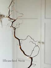 Load image into Gallery viewer, Contorted Hazel Corylus Branches Curly Twigs Corkscrew Natural Twisted Stems Minimalist Japandi Decor Wabi Sabi Spring Twigs For Vase