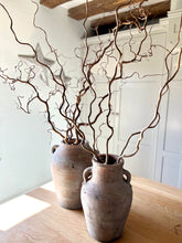 Load image into Gallery viewer, Contorted Hazel Corylus Branches Curly Twigs Corkscrew Natural Twisted Stems Minimalist Japandi Decor Wabi Sabi Spring Twigs For Vase